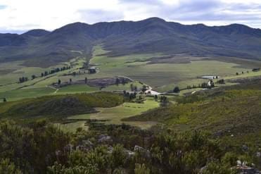 Commercial Property for Sale in Avontuur Western Cape